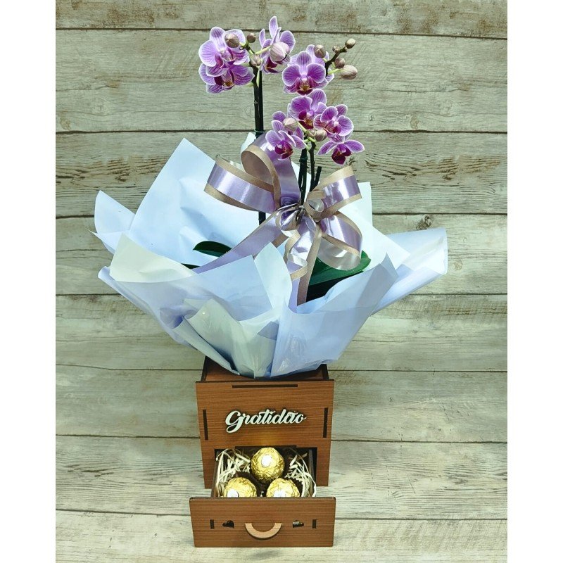 Mini Orquídea "Gratidão" Pote 9 "Cor Variada" + Chocolate  